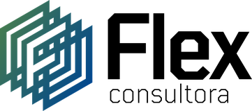 Flex Consultora